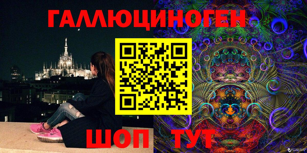 Галлюциногенные грибы Psilocybine cubensis Южноуральск