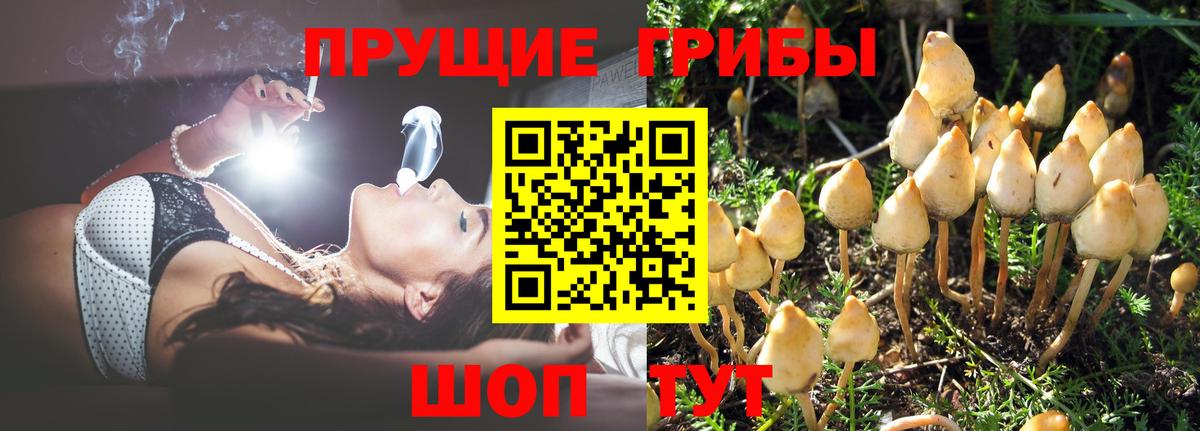 Галлюциногенные грибы MAGIC MUSHROOMS  Псилоцибиновые грибы Psilocybine cubensis  Вход с VPN  Южноуральск 